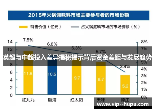 英超与中超投入差异揭秘揭示背后资金差距与发展趋势 英超与中超投入差异揭秘揭示背后资金差距与发展趋势