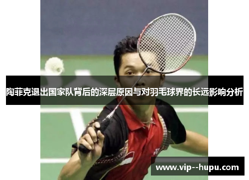 陶菲克退出国家队背后的深层原因与对羽毛球界的长远影响分析